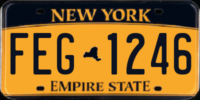 NY license plate FEG1246