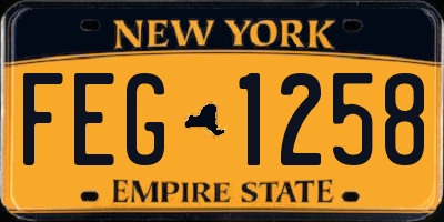 NY license plate FEG1258
