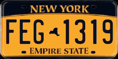 NY license plate FEG1319
