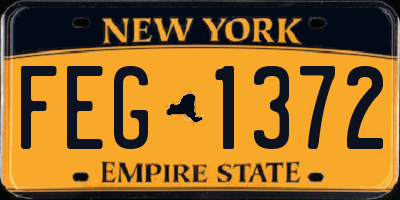 NY license plate FEG1372