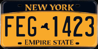 NY license plate FEG1423