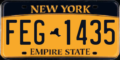 NY license plate FEG1435