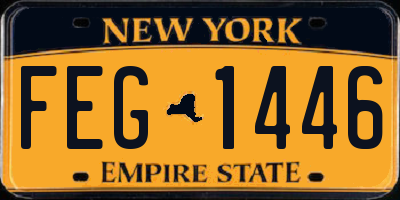 NY license plate FEG1446
