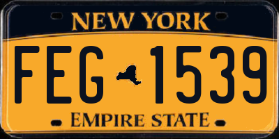 NY license plate FEG1539