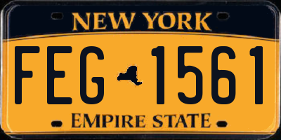 NY license plate FEG1561