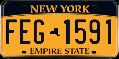 NY license plate FEG1591
