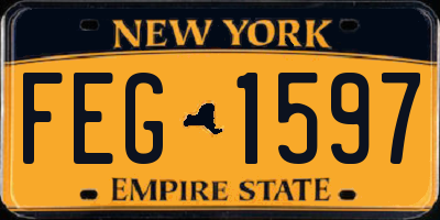NY license plate FEG1597