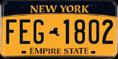 NY license plate FEG1802