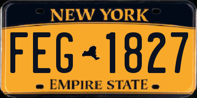 NY license plate FEG1827