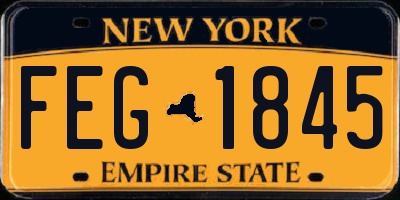 NY license plate FEG1845