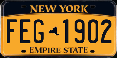 NY license plate FEG1902