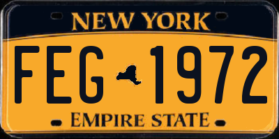 NY license plate FEG1972
