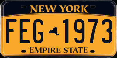 NY license plate FEG1973