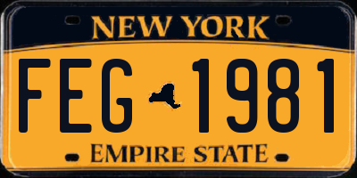 NY license plate FEG1981