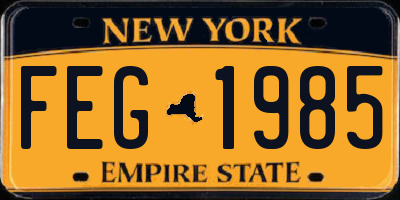 NY license plate FEG1985