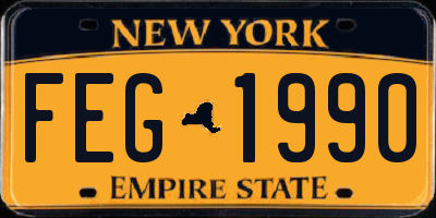 NY license plate FEG1990