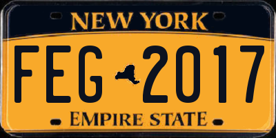 NY license plate FEG2017