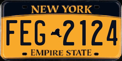NY license plate FEG2124