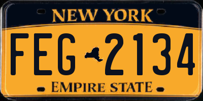 NY license plate FEG2134