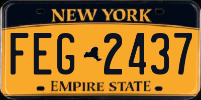 NY license plate FEG2437