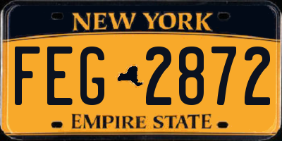 NY license plate FEG2872