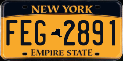NY license plate FEG2891