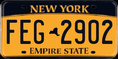 NY license plate FEG2902