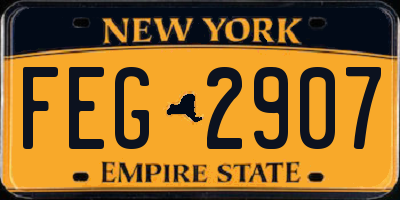 NY license plate FEG2907
