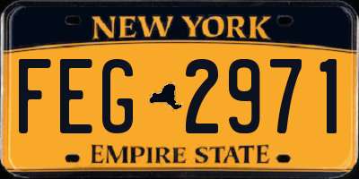 NY license plate FEG2971