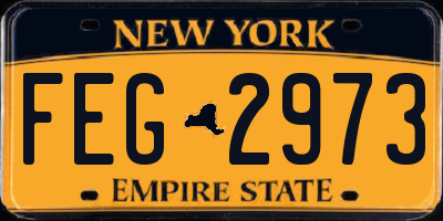 NY license plate FEG2973