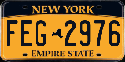 NY license plate FEG2976