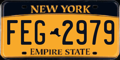NY license plate FEG2979