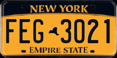 NY license plate FEG3021