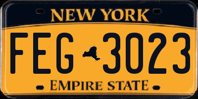 NY license plate FEG3023
