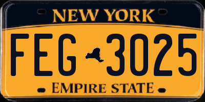 NY license plate FEG3025