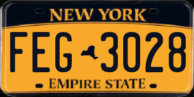 NY license plate FEG3028