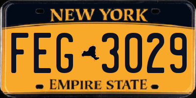 NY license plate FEG3029