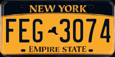 NY license plate FEG3074