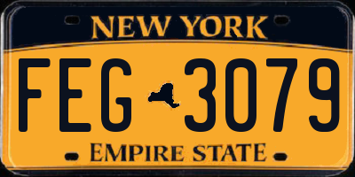 NY license plate FEG3079