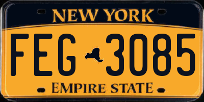 NY license plate FEG3085