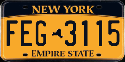 NY license plate FEG3115