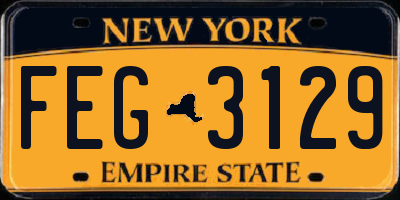 NY license plate FEG3129