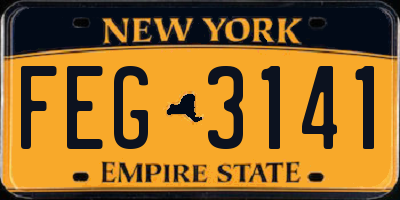 NY license plate FEG3141
