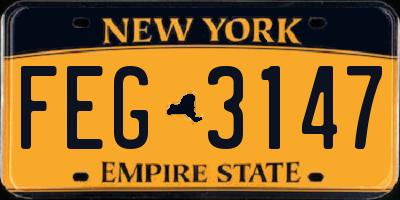 NY license plate FEG3147