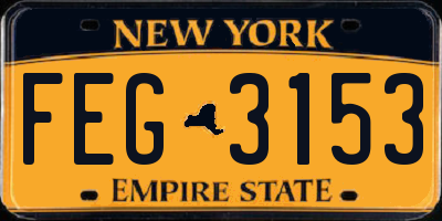 NY license plate FEG3153