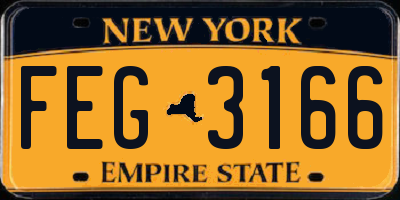 NY license plate FEG3166