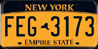 NY license plate FEG3173