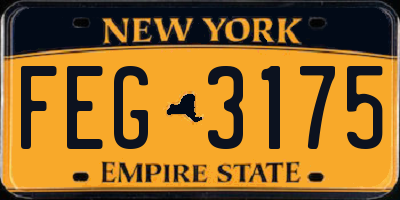NY license plate FEG3175