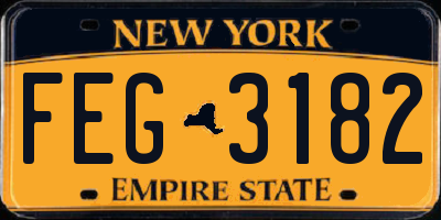 NY license plate FEG3182