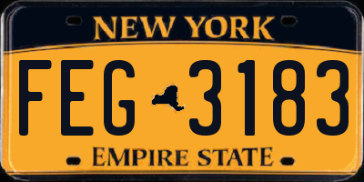 NY license plate FEG3183